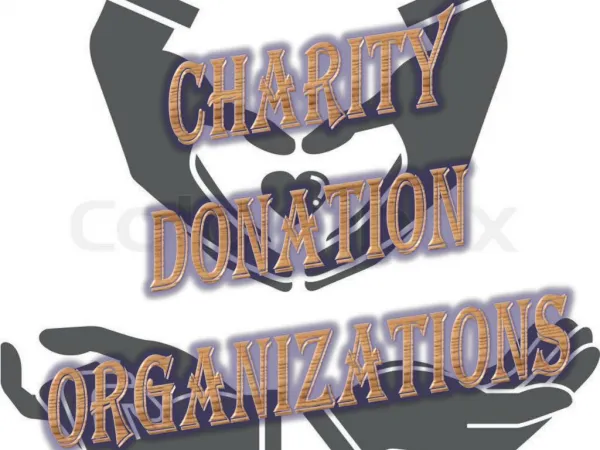 Charity Donation Organizations