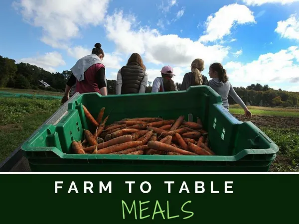 Farm to table meals