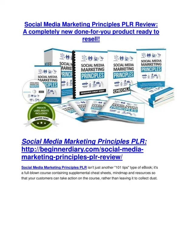 Social Media Marketing Principles PLR review - I was shocked!