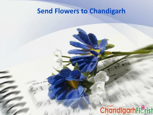 Send Flowers to Chandigarh