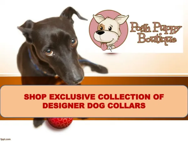 SHOP EXCLUSIVE COLLECTION OF DESIGNER DOG COLLARS-POSH PUPPY BOUTIQUE