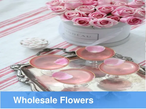 Wholesale Flowers - www.wholeblossoms.com