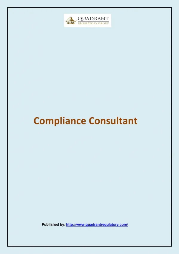 Compliance Consultant
