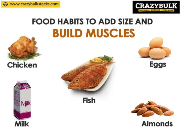 Food Habits To Add Size And Build Muscles