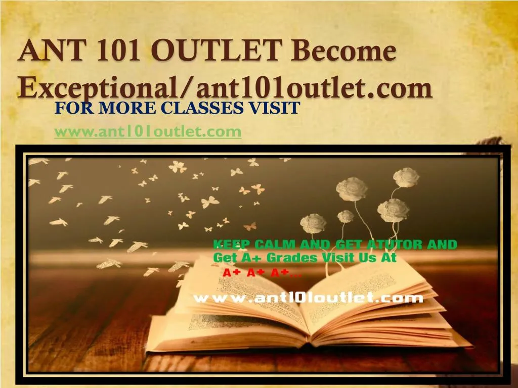 ant 101 outlet become exceptional ant101outlet com
