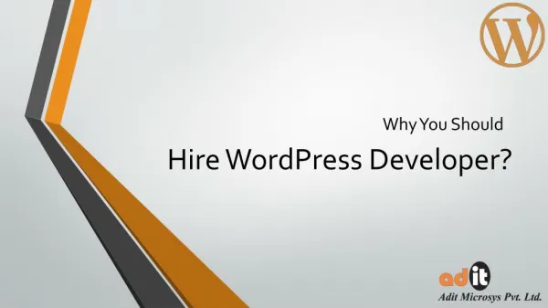Hire Expert WordPress Developer For Theme Customization