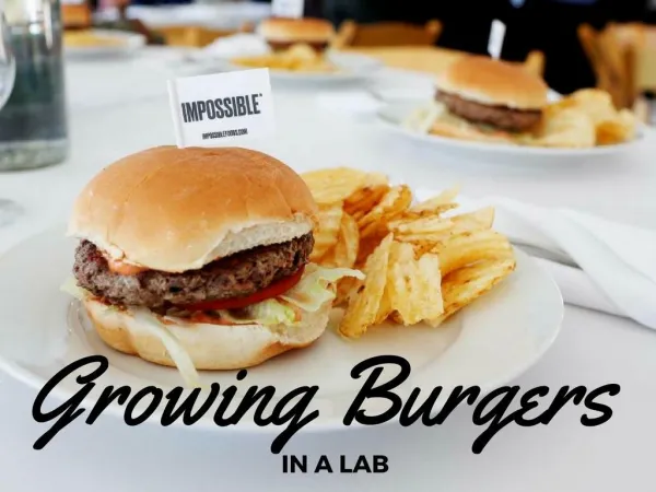 Growing burgers in a lab