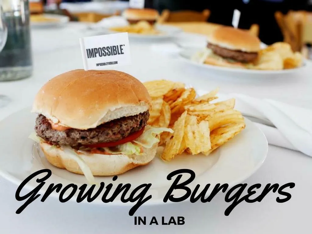 developing burgers in a lab