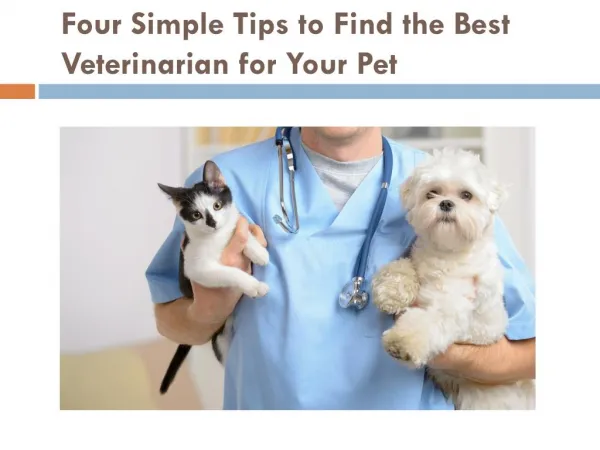 Four Simple Tips to Find the Best Veterinarian for Your Pet