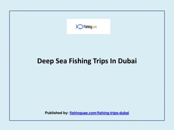 Deep Sea Fishing Trips In Dubai