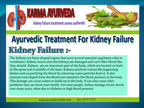 Ayurvedic Treatment for kidney failure