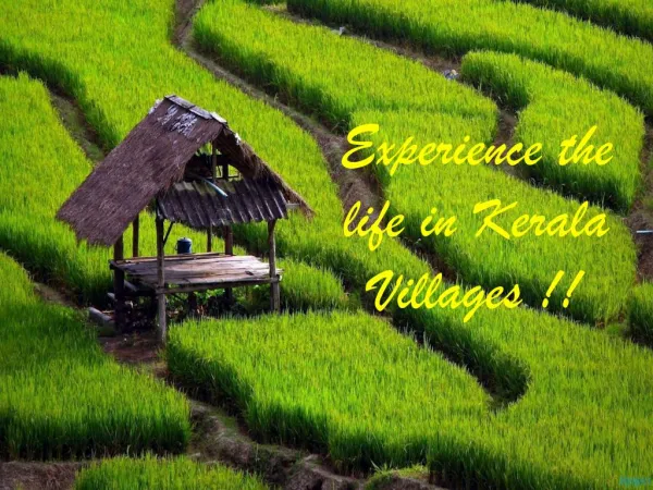 Best Kerala Village Tour Packages