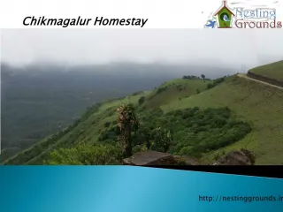 Chikmagalur Homestay - slide 1
