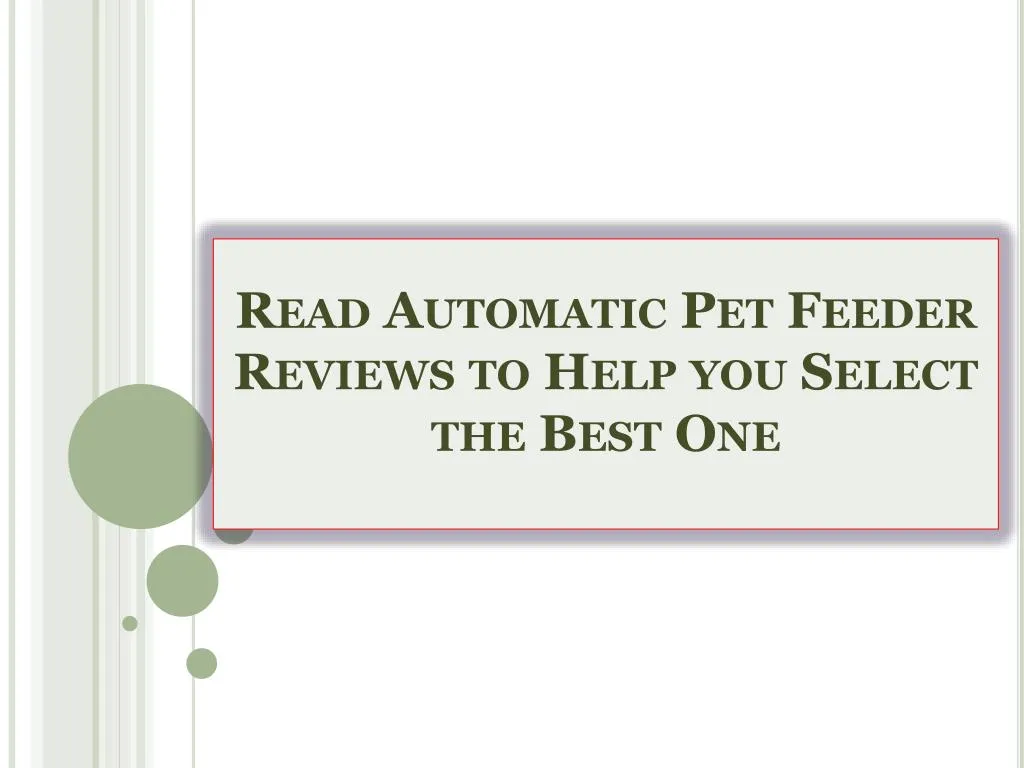 read automatic pet feeder reviews to help you select the best one