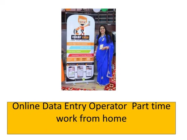 Online Data Entry Operator Part time work from home
