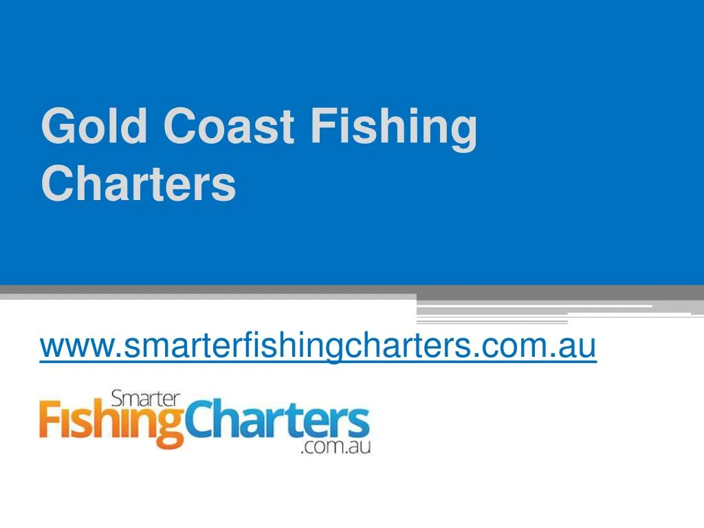 gold coast fishing charters