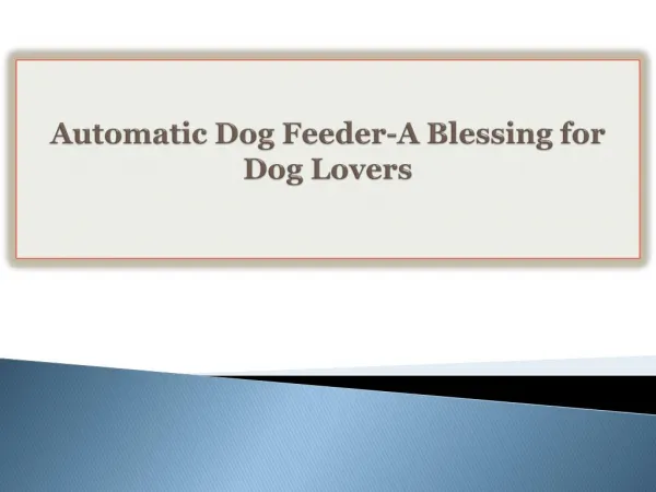 Automatic Dog Feeder-A Blessing for Dog Lovers