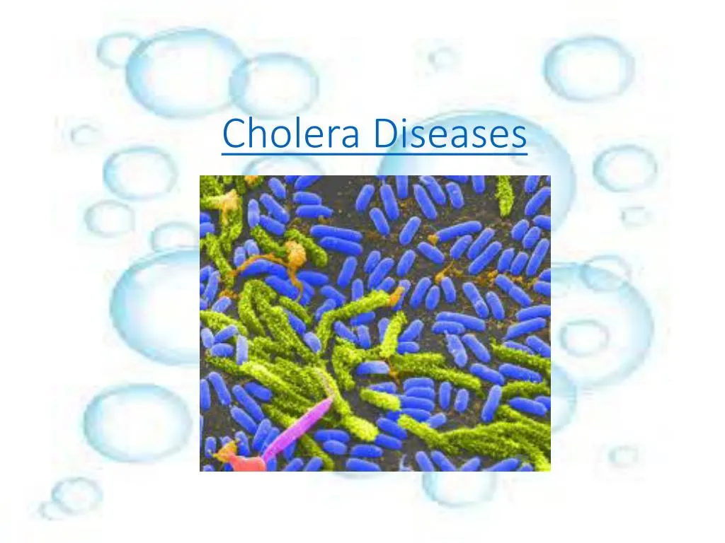 cholera diseases