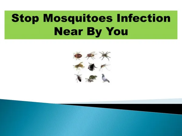 Stop Mosquitoes Infection Near By You