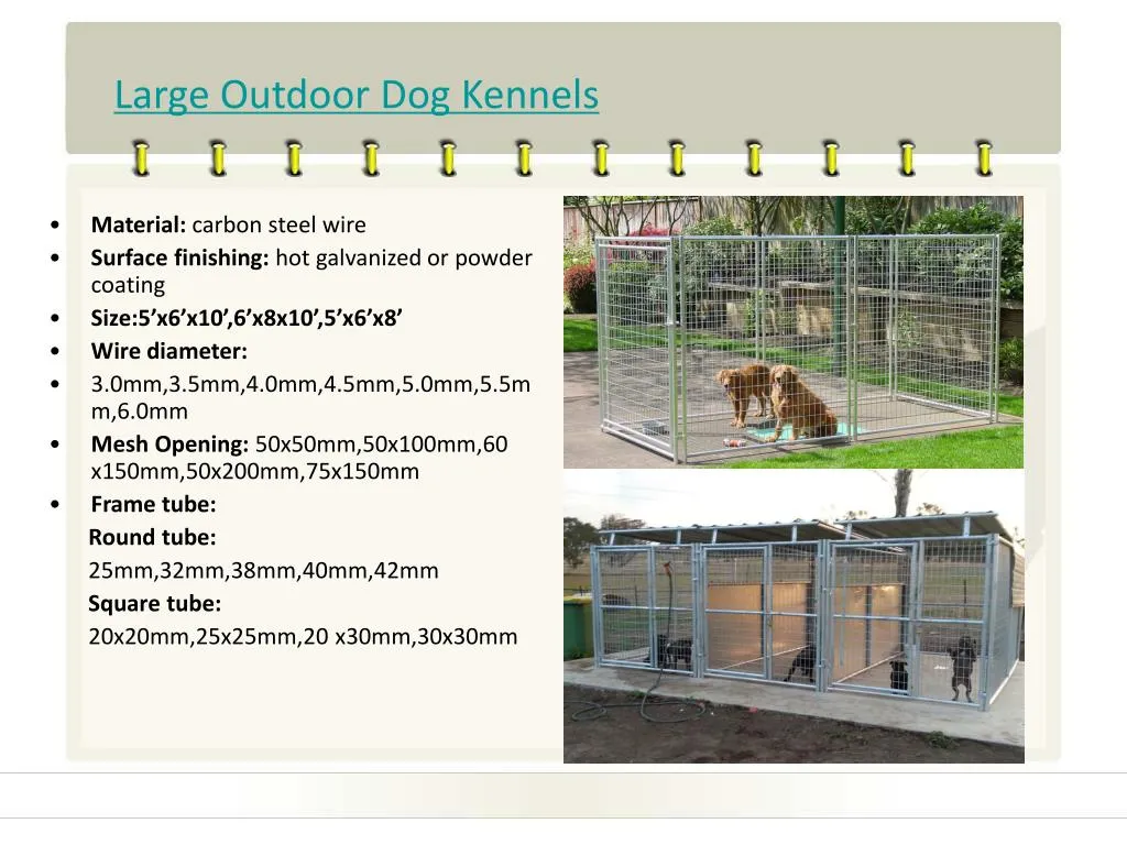 large outdoor dog kennels