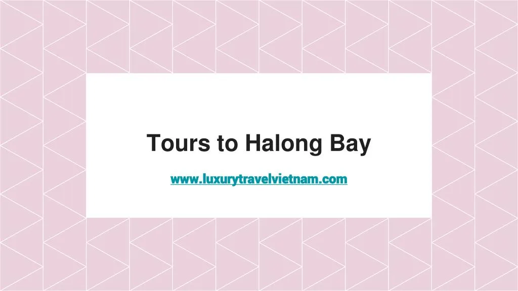 tours to halong bay