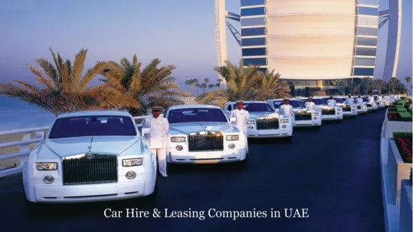 Vehicle Rental Companies in Dubai