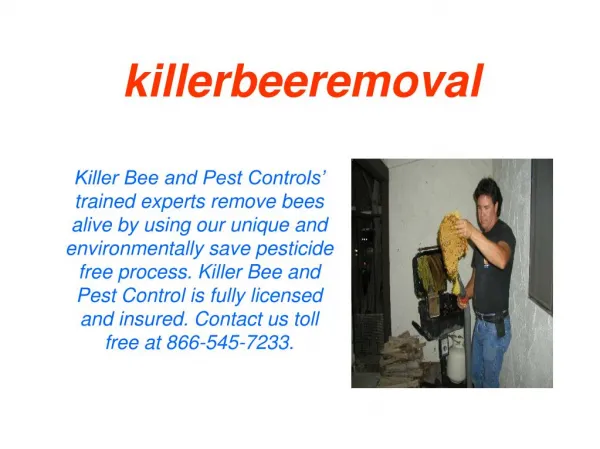 Killer bee live removal Rancho Mirage CA