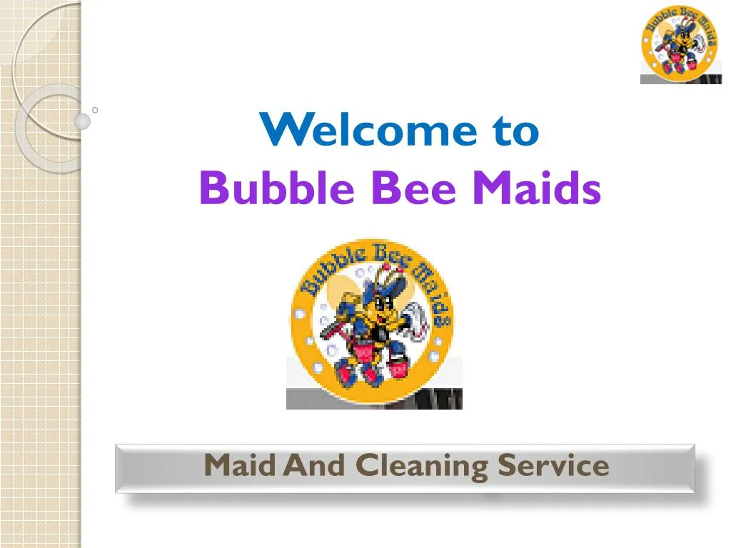 welcome to bubble bee maids