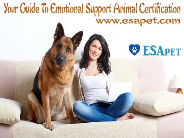 Your Guide to Emotional Support Animal Certification