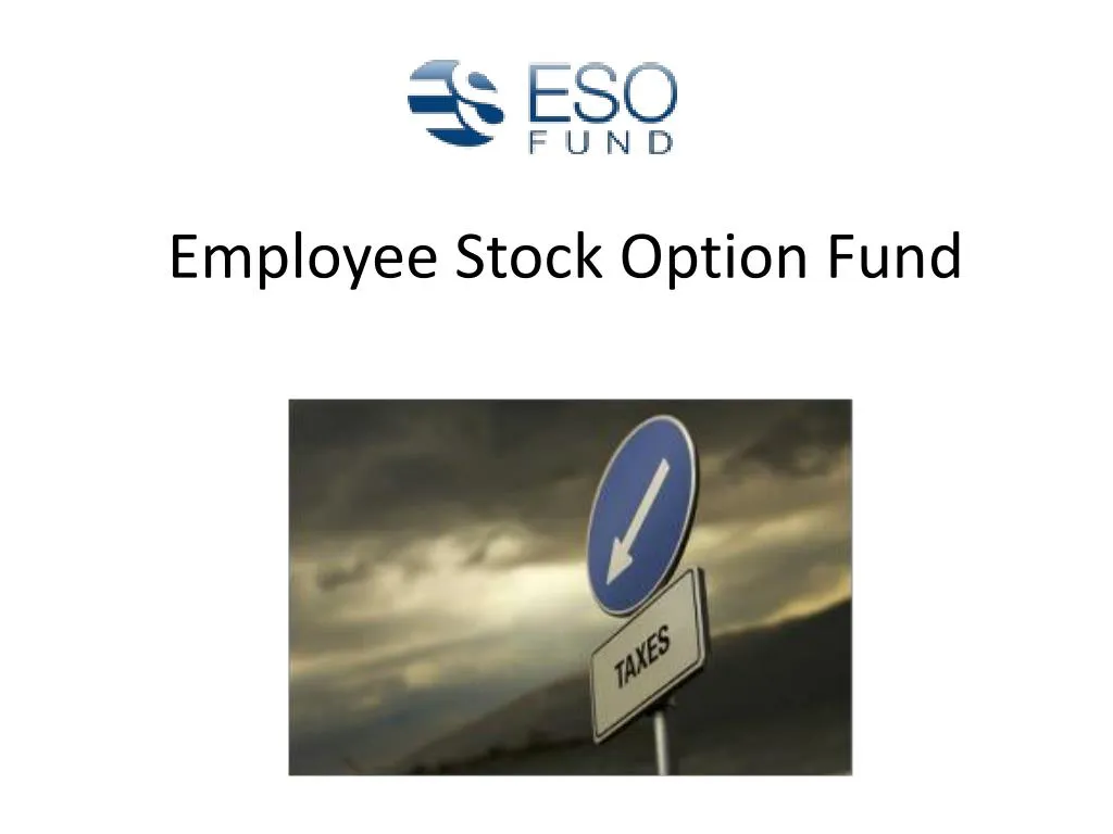 employee stock option fund