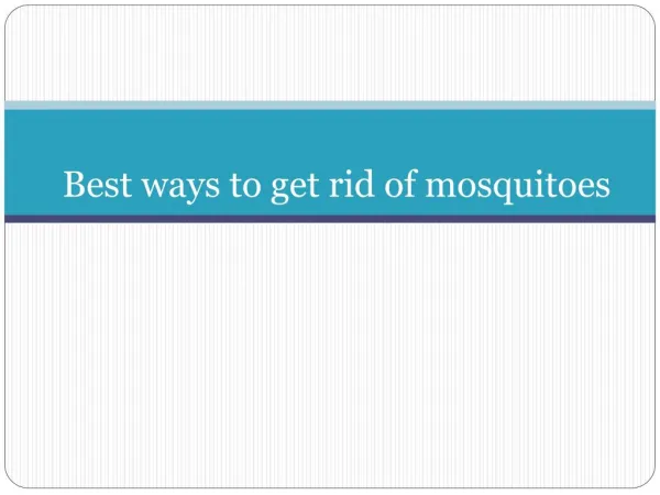 Mosquito net manufacturers Coimbatore | Erode | Tirupur