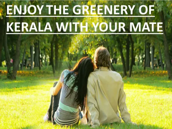 Enjoy the beautiful greenery of Kerala
