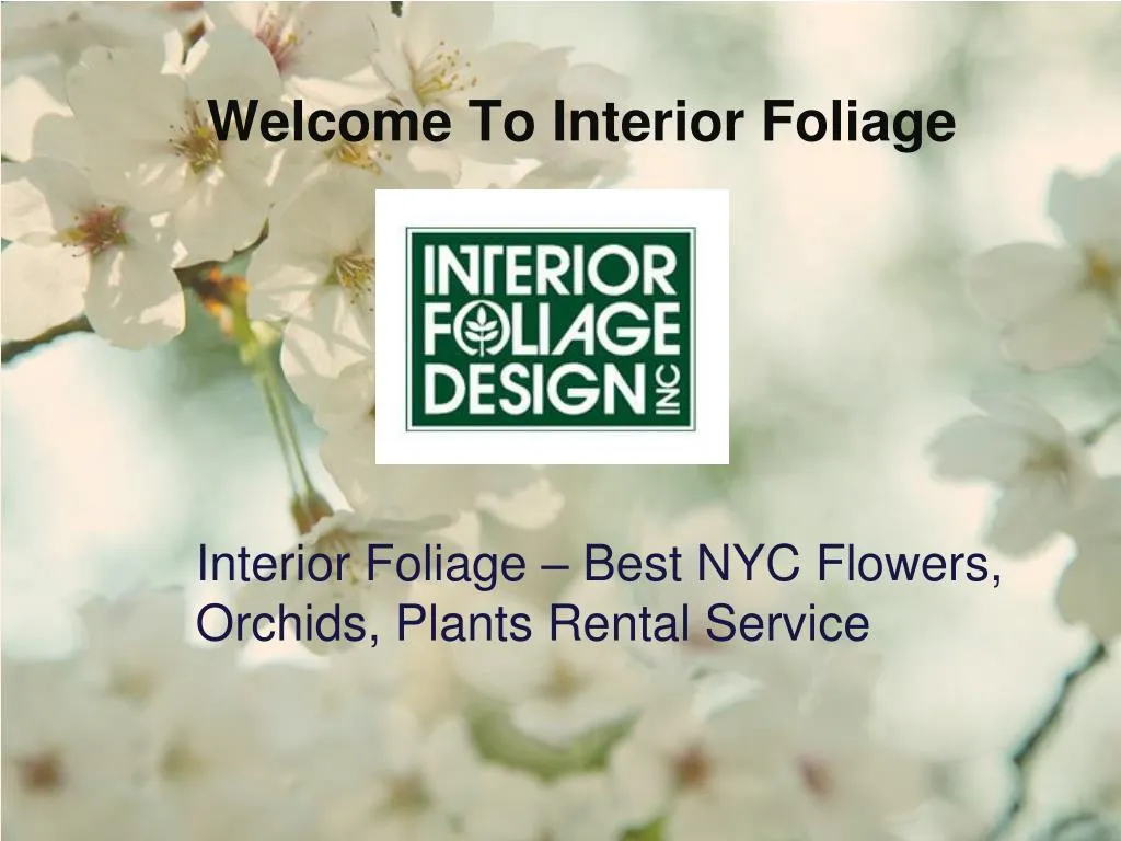 welcome to interior foliage