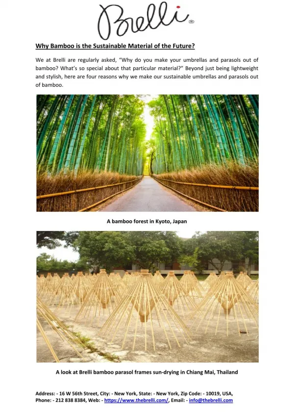 Why Bamboo is the Sustainable Material of the Future