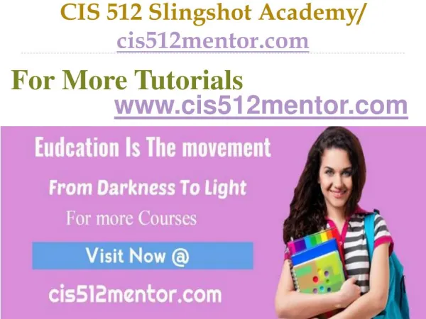 CIS 512 Slingshot Academy / cis512mentor.com