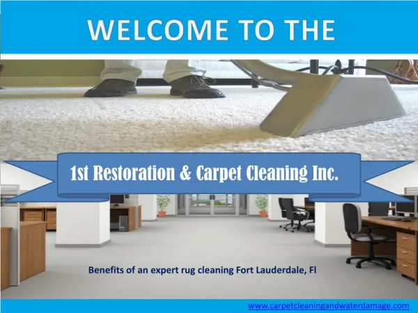 Benefits of hiring an expert rug cleaning Fort Lauderdale, Fl