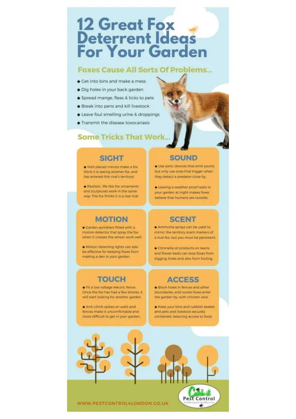 DETERRING FOXES FROM YOUR BACK YARD – SOME EXCELLENT IDEAS AND STRATEGIES THAT CERTAINLY WORK