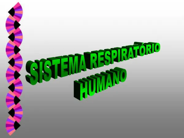SISTEMA RESPIRAT RIO HUMANO