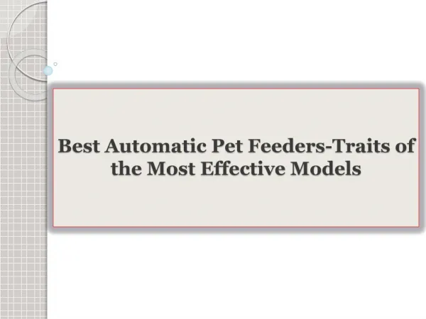Best Automatic Pet Feeders-Traits of the Most Effective Models