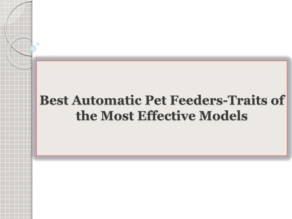 best automatic pet feeders traits of the most effective models