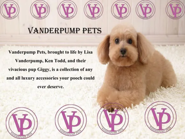 Choose Luxury Dog Collars at Vanderpump Pets