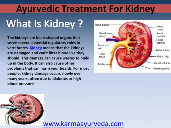 Ayurvedic treatment for kidney