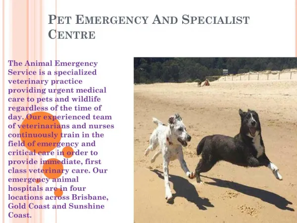 Pet Emergency And Specialist Centre