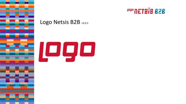 Logo Netsis B2B