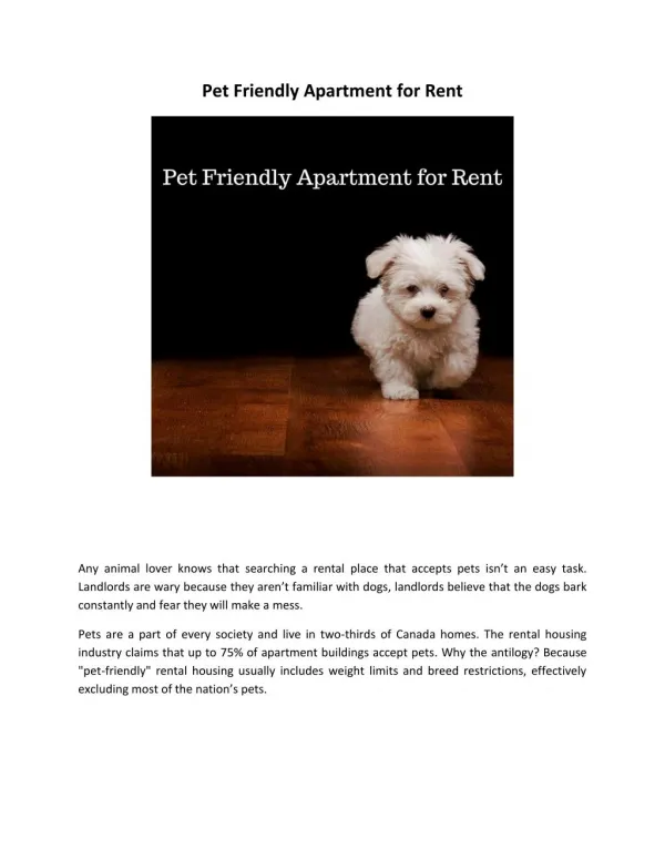 Pet Friendly Apartment for Rent