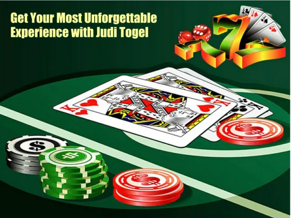 Get Your Most Unforgettable Experience with Judi Togel