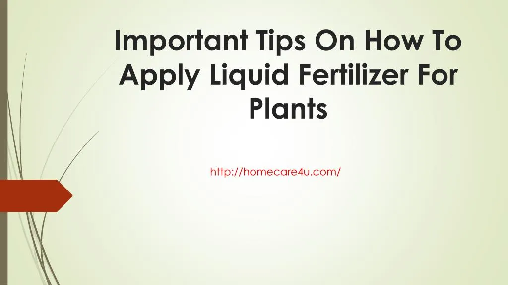 important tips on how to apply liquid fertilizer for plants