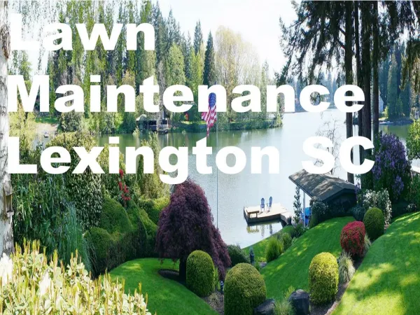 Lawn Maintenance Lexington SC In The Best Way