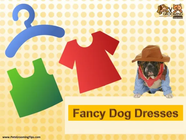 Dog Fancy Dresses and Outfits