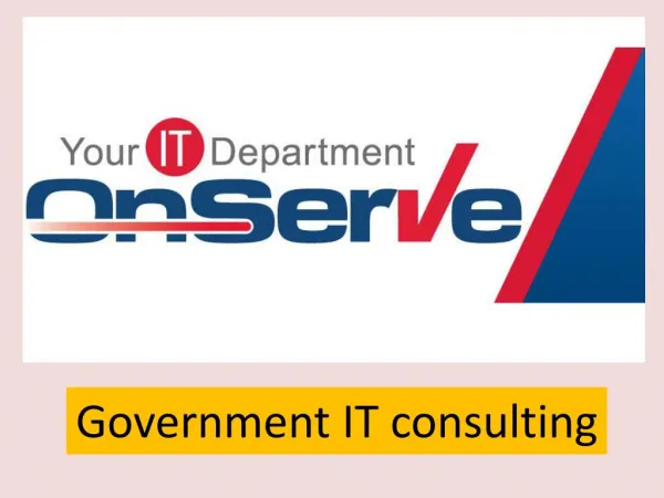 Government IT consulting